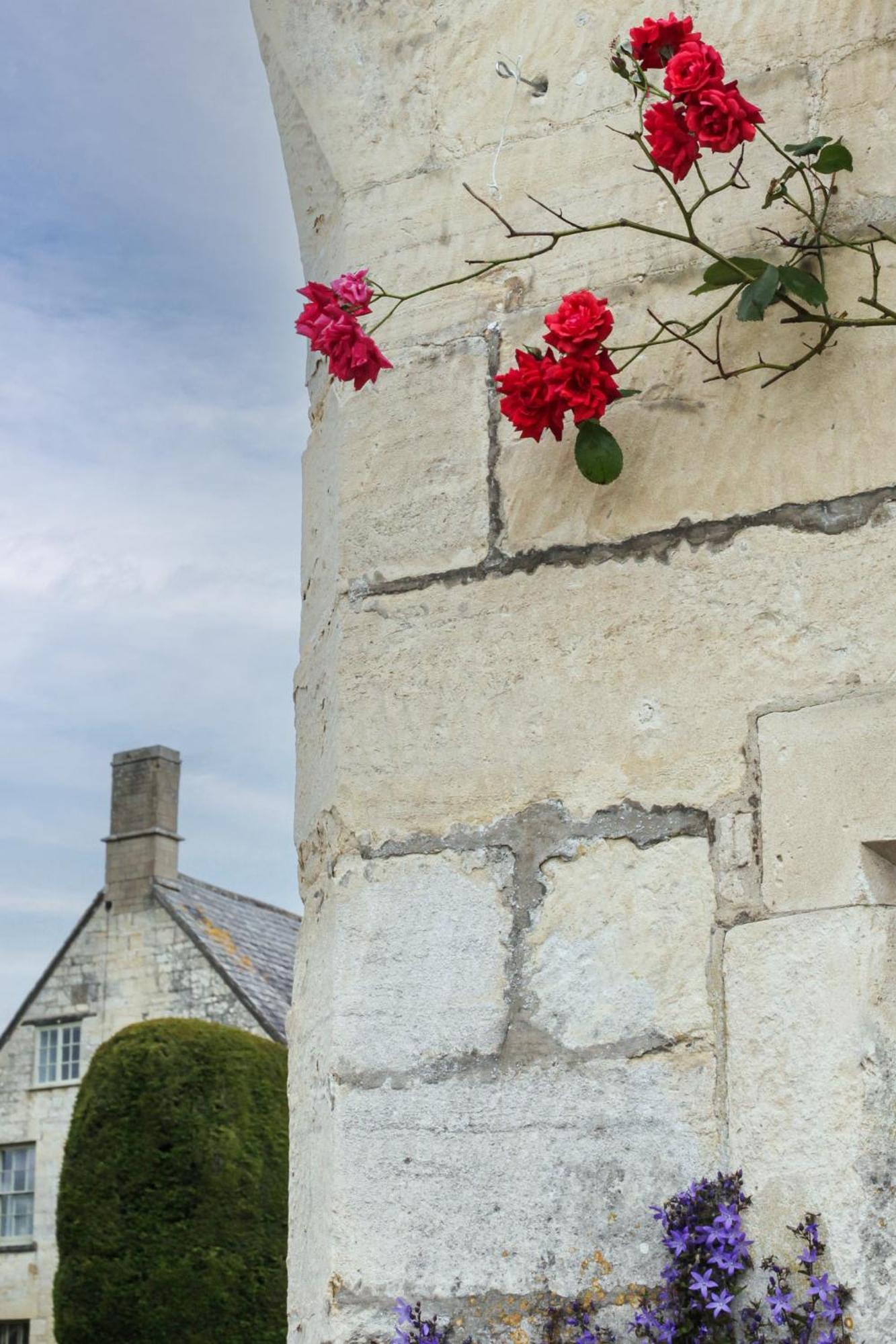 Bright & Beautiful Open Plan Coach House Painswick Βίλα Εξωτερικό φωτογραφία